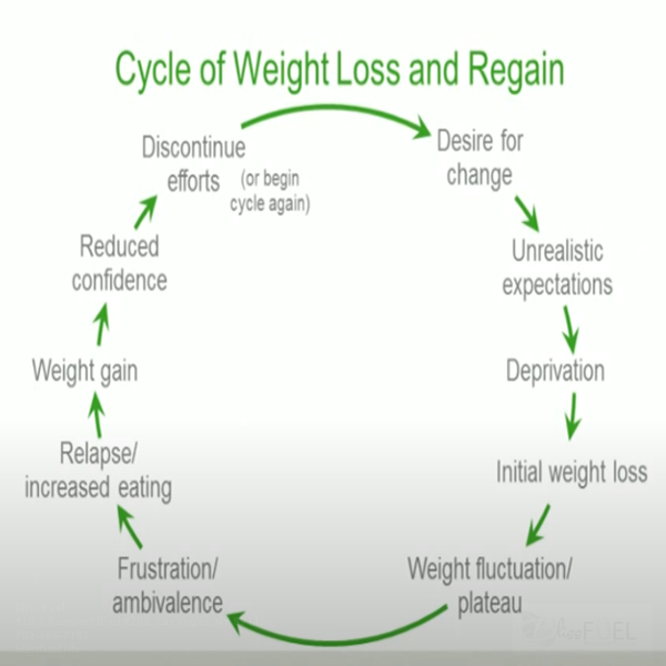 Cycle Of Weight Loss And Regain 